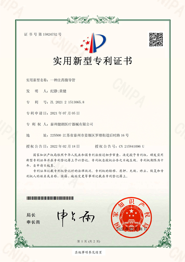 一種注藥微導(dǎo)管